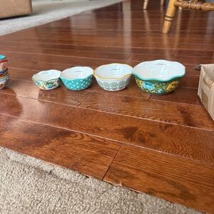 New Pioneer woman measuring Bowls